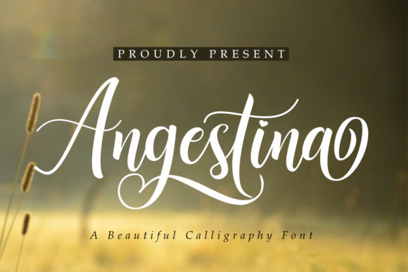 Angestina: A Script Handwritten Font for Elegant Branding