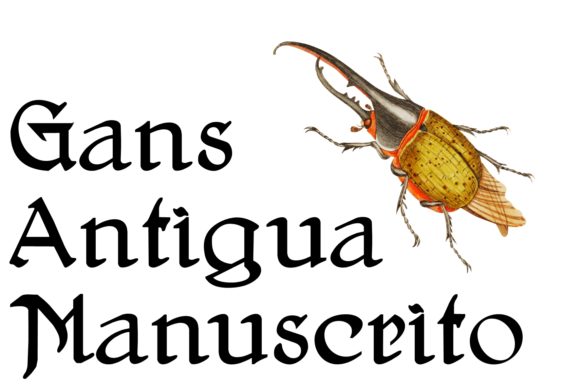 Gans Antigua Manuscrito: A Script Handwritten Font for Timeless Campaign Clarity