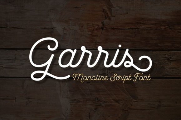 Garris: A Delicate Script Handwritten Font for Elegant Campaigns