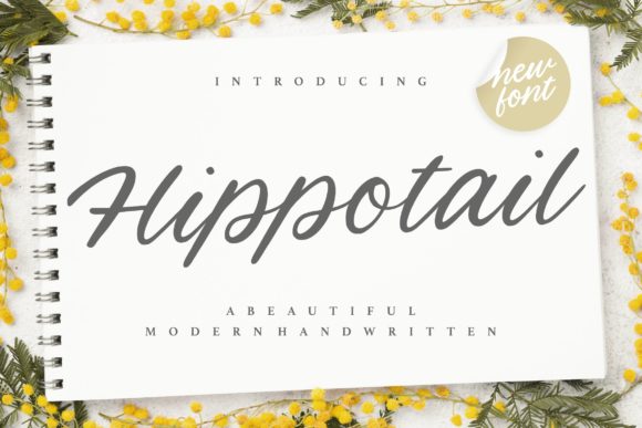 Hippotail: A Timeless Script Handwritten Font for Editorial Elegance