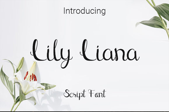 Lily Liana Font: Elegant Script Handwritten Typeface for Small Business Branding