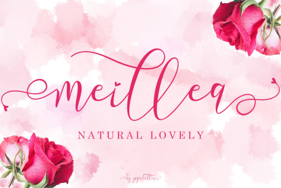 Meillea: Elegant Script Handwritten Font for Designers