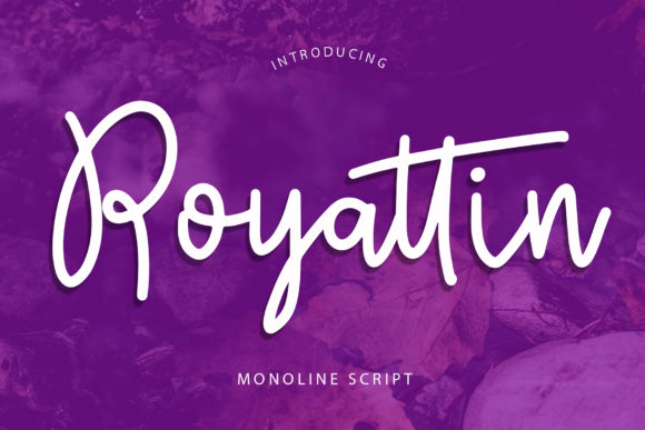 Royattin: A Neat & Round Script Handwritten Font for Real Branding